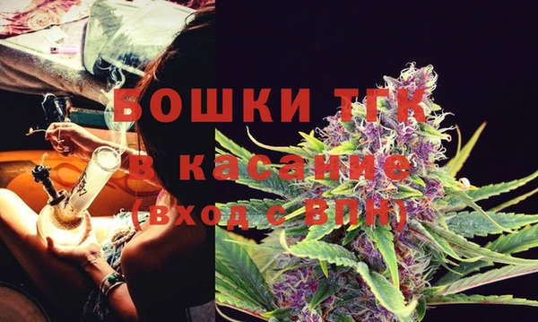 прущие крисы Белокуриха