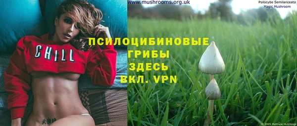 прущие крисы Белокуриха