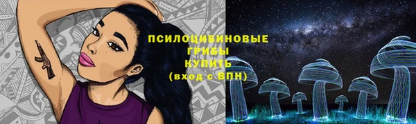 стафф Беломорск